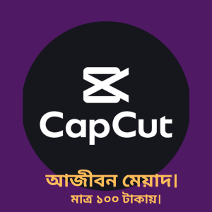 capcut