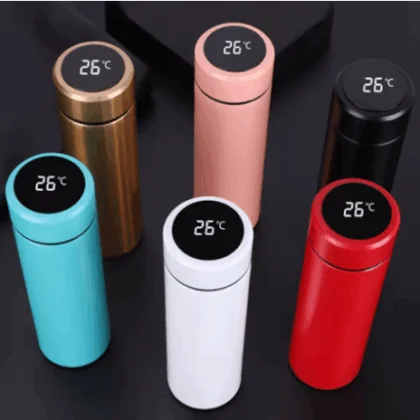 Smart Water Bottle With LED Temperature Display